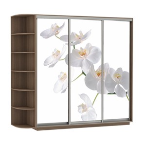 Шкаф 3-х дверный Экспресс со стеллажом, 2100х600х2200, Орхидея белая/шимо темный в Йошкар-Оле