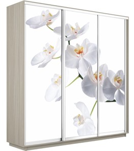 Шкаф 3-створчатый Экспресс 1800х600х2200, Орхидея белая/шимо светлый в Йошкар-Оле