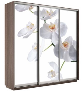 Шкаф 3-х дверный Экспресс 2400х600х2400, Орхидея белая/шимо темный в Йошкар-Оле