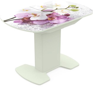 Кухонный стол раскладной Корсика исп. 1 Фотопечать (Цветы №44) 1100(1415)*700 в Йошкар-Оле