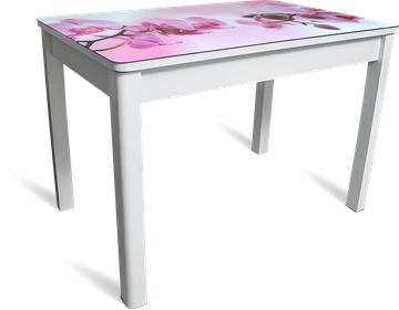 Кухонный раздвижной стол Айсберг-02 СТФ, белое лдсп/орхидея/40 прямые массив белые в Йошкар-Оле