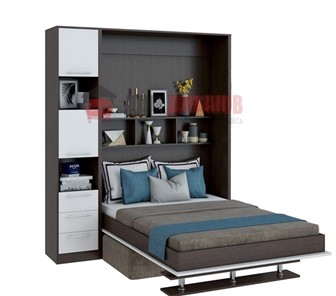 Кровать-шкаф с диваном DetalMaster Бела 1, с полкой ножкой с 1 пеналом, 1600х2000, венге/белый в Йошкар-Оле