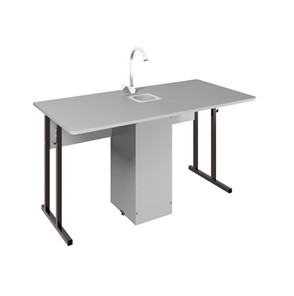 Детский стол 2-местный для кабинета химии Стандарт 6, Пластик Серый/Коричневый в Йошкар-Оле
