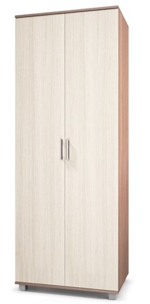 Шкаф 2-дверный Е-20, Ясень шимо светлый/темный в Йошкар-Оле - изображение