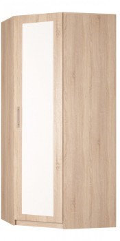 Шкаф угловой Реал (YR-230х884 (9)-М Вар.1), с зеркалом в Йошкар-Оле - изображение