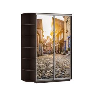 Шкаф 2-дверный Экспресс 1900x600x2400, со стеллажом, Улица/венге в Йошкар-Оле