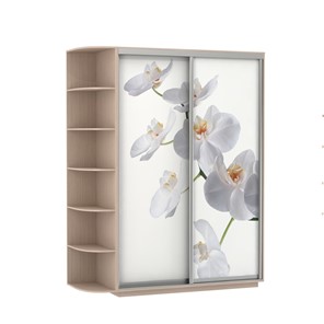 Шкаф Экспресс 1900x600x2200, со стеллажом, Орхидея белая/дуб молочный в Йошкар-Оле