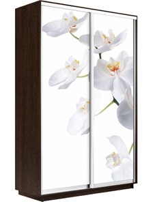 Шкаф 2-дверный Экспресс 1400x600x2400, Орхидея белая/венге в Йошкар-Оле