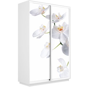 Шкаф Экспресс 1600x450x2400, Орхидея белая/белый снег в Йошкар-Оле