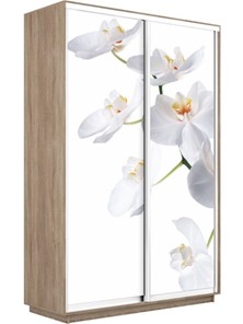 Шкаф 2-дверный Экспресс 1600x450x2400, Орхидея белая/дуб сонома в Йошкар-Оле