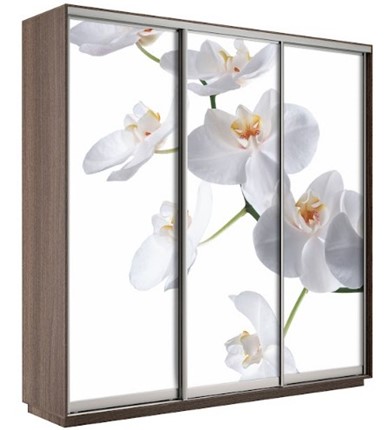 Шкаф 3-дверный Экспресс 1800х600х2200, Орхидея бела/шимо темный в Йошкар-Оле - изображение