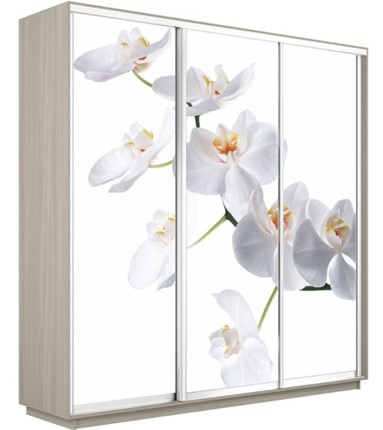 Шкаф трехдверный Экспресс 2400х600х2400, Орхидея белая/шимо светлый в Йошкар-Оле - изображение