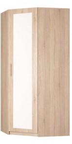 Распашной шкаф угловой Реал (YR-230х1034 (3)-М Вар.4), с зеркалом в Йошкар-Оле - предосмотр