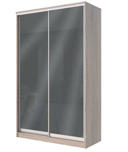 Шкаф 2-х дверный Хит-22-4-12/2-22 с цветным стеклом, темно-серый 073, Дуб сонома в Йошкар-Оле
