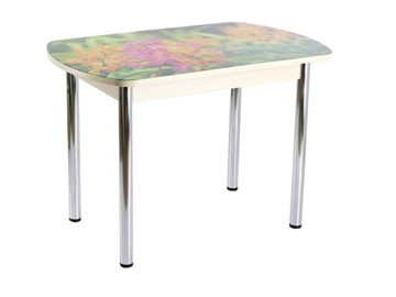 Кухонный стол раскладной ПГ-02 СТФ, дуб молочный ЛДСП/луговые цветы/39 прямые трубы хром в Йошкар-Оле