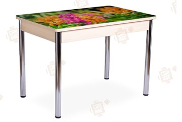 Кухонный раскладной стол Айсберг-02 СТФ, Дуб ЛДСП/полевые цветы/ноги хром прямые в Йошкар-Оле