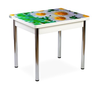 Кухонный пристенный стол СПА-01 СТФ, белый/фотопечать ромашки/опоры прямые хром в Йошкар-Оле