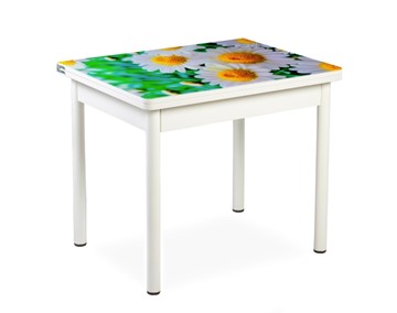 Кухонный пристенный стол СПА-01 СТФ, белый/фотопечать ромашки/опоры прямые белые в Йошкар-Оле