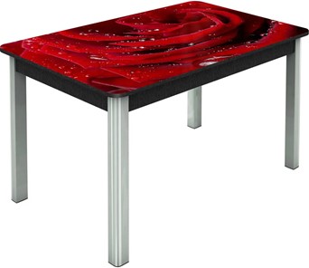 Обеденный раздвижной стол Гамбург исп. Мини, ноги метал. крашеные №23, Фотопечать (Цветы №39) в Йошкар-Оле