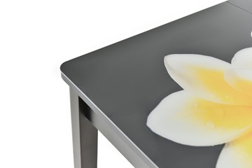 Кухонный стол раздвижной Гамбург исп.1 ноги метал. крашеные №23, Фотопечать (Текстура №34) в Йошкар-Оле - предосмотр 8