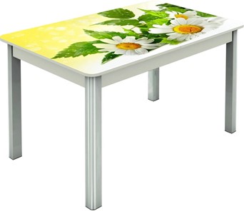 Обеденный раздвижной стол Гамбург исп.2 ноги метал. крашеные №23, Фотопечать (Цветы №3) в Йошкар-Оле
