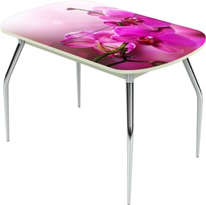 Кухонный стол раскладной Ривьера исп.2 ноги метал. крашеные №24 Фотопечать (Цветы №16) в Йошкар-Оле