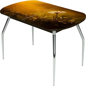 Обеденный раздвижной стол Ривьера исп.2 ноги метал. крашеные №24 Фотопечать (Цветы №43) в Йошкар-Оле