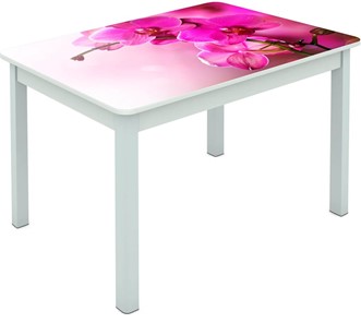 Обеденный стол Мюнхен исп. 1 ноги метал. крашеные №23 Фотопечать (Цветы №16) в Йошкар-Оле