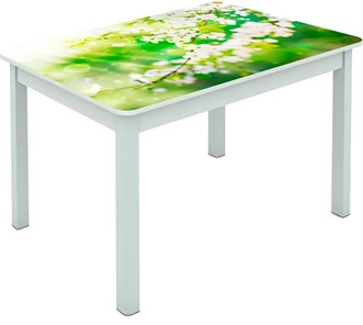 Обеденный стол Мюнхен исп. 1 ноги метал. крашеные №23 Фотопечать (Цветы №45) в Йошкар-Оле