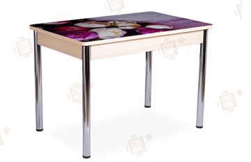 Кухонный стол раскладной Айсберг-01 СТФ, дуб/фотопечать пионы/ноги хром прямые круглые в Йошкар-Оле
