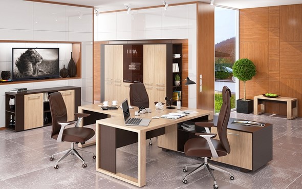 Кабинет руководителя ALTO с брифинг-приставкой, с низким и высокими шкафами в Йошкар-Оле - изображение