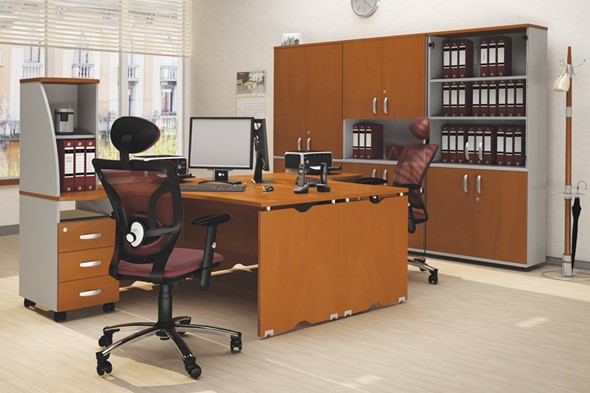 Офисный комплект мебели Милан для 2 сотрудников с тумбочками и большим шкафом в Йошкар-Оле - изображение