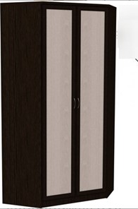 Распашной шкаф 403 несимметричный, цвет Венге в Йошкар-Оле - предосмотр