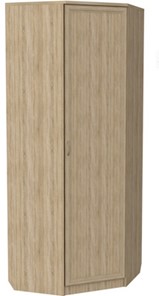 Распашной шкаф 400 угловой, цвет Дуб Сонома в Йошкар-Оле - предосмотр