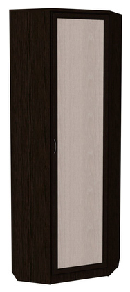 Распашной шкаф 402 угловой со штангой, цвет Венге в Йошкар-Оле - изображение