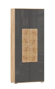 Шкаф двухстворчатый Фиджи с декоративными накладками 659.310, Дуб Золотой/Антрацит в Йошкар-Оле