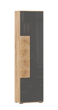 Шкаф одностворчатый Фиджи с декоративными накладками 659.300, Дуб Золотой/Антрацит в Йошкар-Оле - изображение