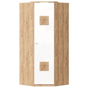 Шкаф угловой 45 с декоративной накладкой Фиджи, 659.248, белый в Йошкар-Оле - предосмотр