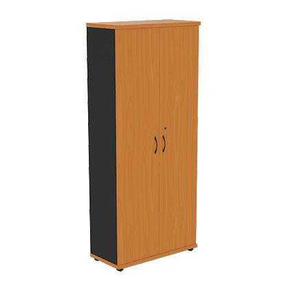 Шкаф 2-дверный Моно-Люкс R5S05 в Йошкар-Оле - изображение